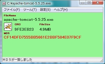 tomcat5.5-3.jpg