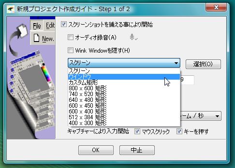 wink11.jpg